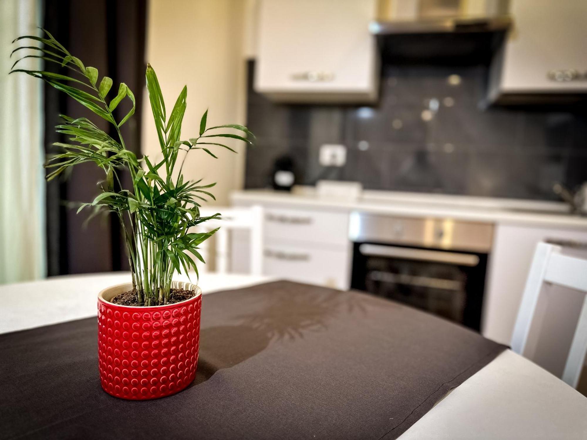 Apartmán Da Rossella Řím Exteriér fotografie